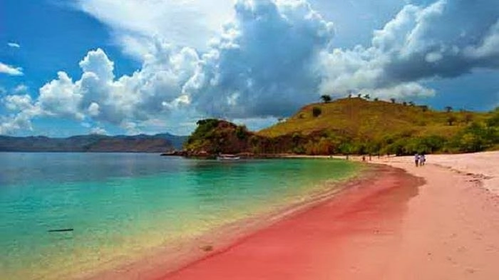 Komodo island tour from Cruise ship