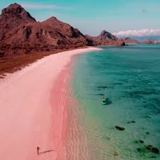 Komodo tour 2 days 1 Night