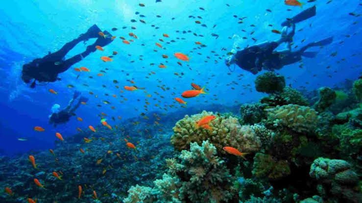 Komodo island trip from bali