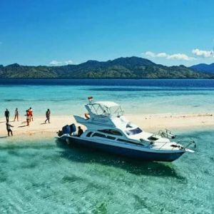Fast boat sharing komodo