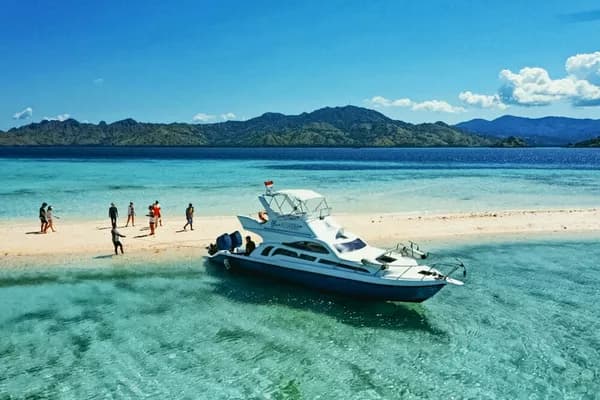 Fast boat sharing komodo