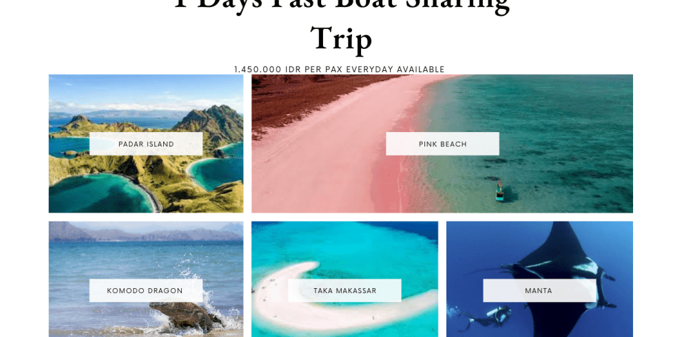 5 Best Komodo tour packages