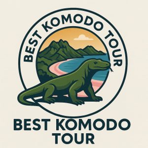 Komodo island tour price