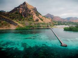 5 days komodo island tour