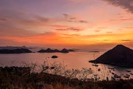 Komodo island tour from labuan bajo