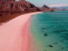 Pink beach komodo