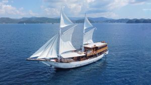 Komodo island boat trip package