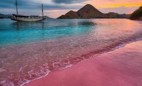 Liveaboard komodo island Indonesia