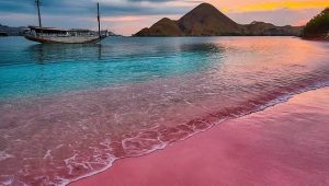 Liveaboard komodo island Indonesia