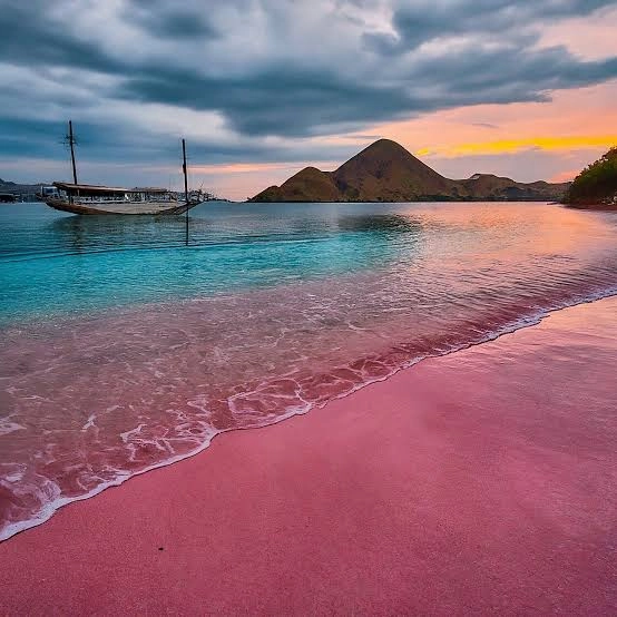 Liveaboard komodo island Indonesia