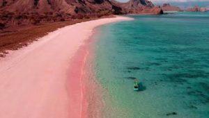 Komodo island trip from labuan bajo