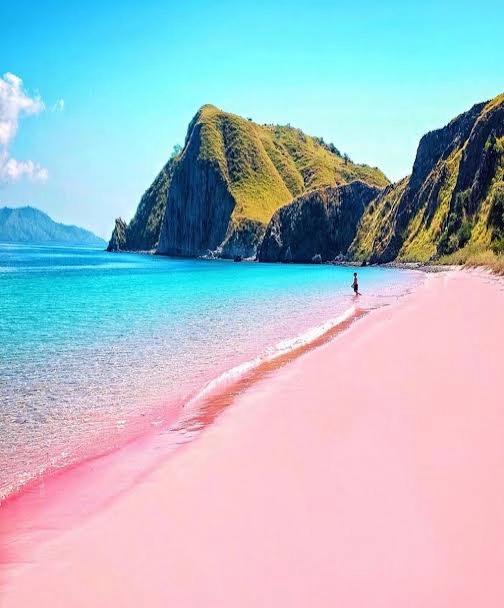 Komodo national park tours