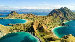Trips to komodo island