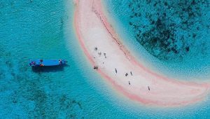 Komodo national park tours with best komodo tour