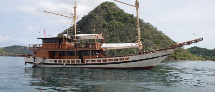 Komodo Private Boat Charter