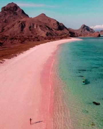 Komodo Island Tours From Labuan Bajo
