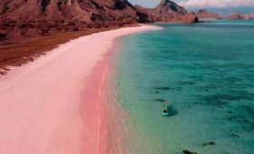 Komodo island tour cost