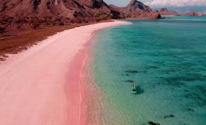 Komodo island tour cost